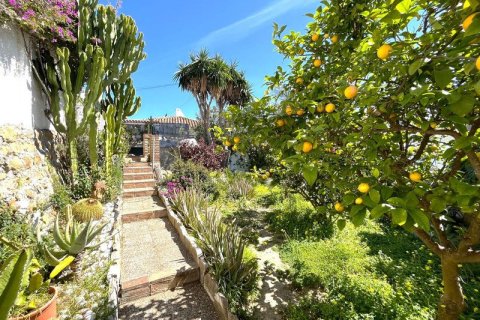 4 bedrooms Villa in Sotogrande, Spain No. 83952