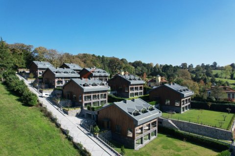 5 bedrooms Villa in Thanh Thoi B, Vietnam No. 17907 13