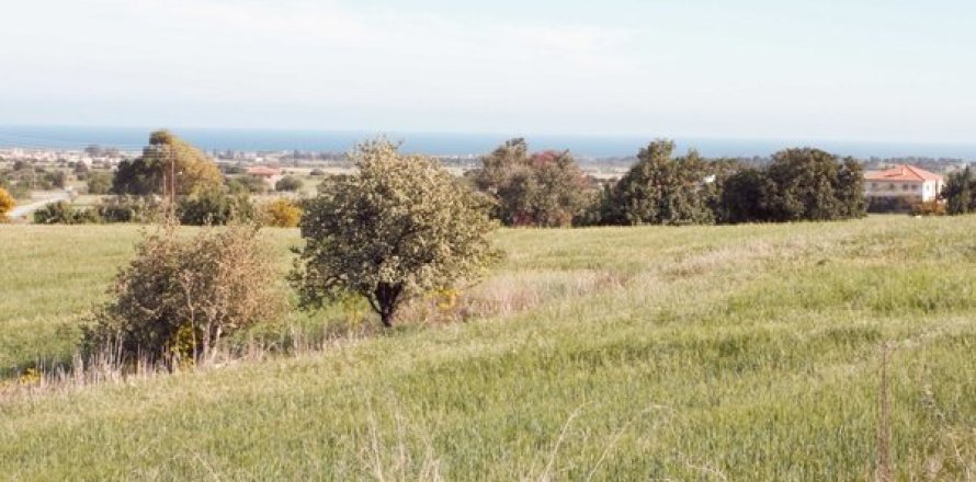 5352m² Land in Alethriko, Cyprus No. 28052