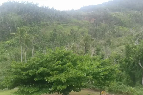 Коммерческая недвижимость с 10 спальнями в Сент-Дейвид, Доминика №66289 22