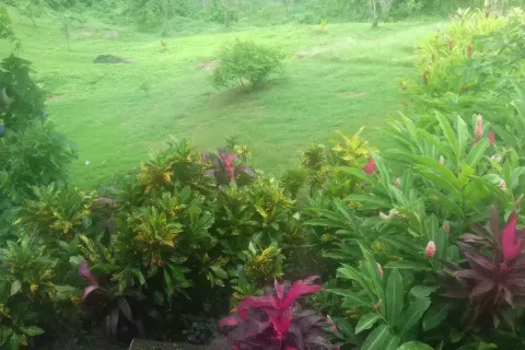 Коммерческая недвижимость с 10 спальнями в Сент-Дейвид, Доминика №66289 21