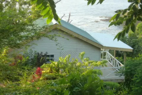 Коммерческая недвижимость с 10 спальнями в Сент-Дейвид, Доминика №66289 23