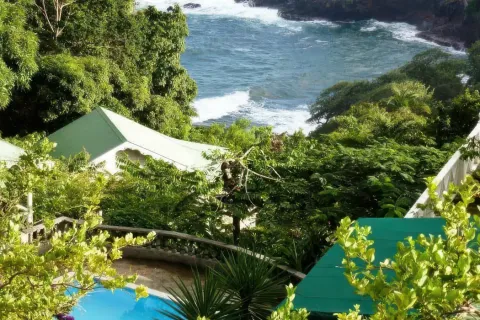 Коммерческая недвижимость с 10 спальнями в Сент-Дейвид, Доминика №66289 29