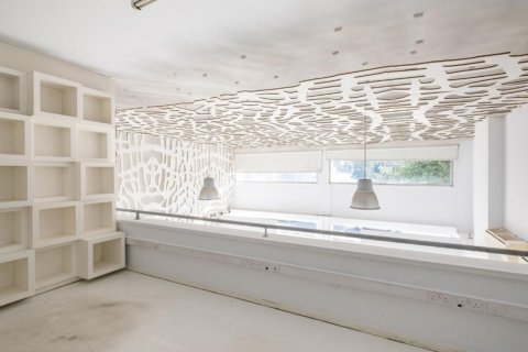 2130m² Commercial property à Nicosia, Cyprus No. 105083 4