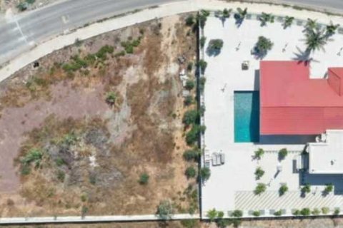 4 chambres Villa à Pegeia, Cyprus No. 81337 2