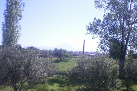 5015m² Land à Chalkidiki, Greece No. 60544 2