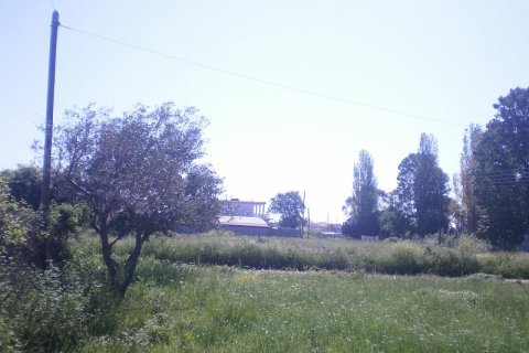5015m² Land à Chalkidiki, Greece No. 60544 4