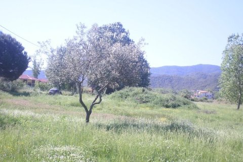 5015m² Land à Chalkidiki, Greece No. 60544 3