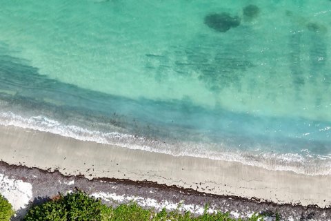 1619m² Land in Piccadilly, Antigua and Barbuda No. 78525 6