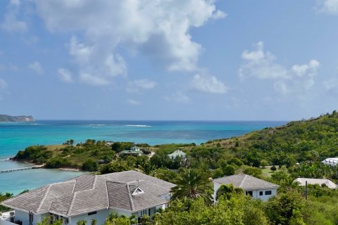 1619m² Land in Piccadilly, Antigua and Barbuda No. 78525 9