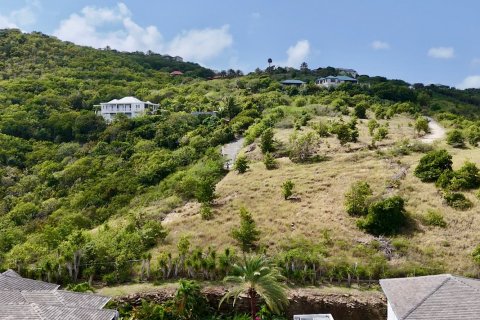 1619m² Land in Piccadilly, Antigua and Barbuda No. 78525 12