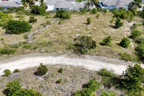 1619m² Land in Piccadilly, Antigua and Barbuda No. 78525 10