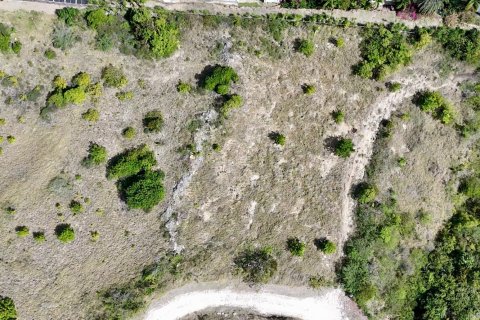1619m² Land in Piccadilly, Antigua and Barbuda No. 78525 7