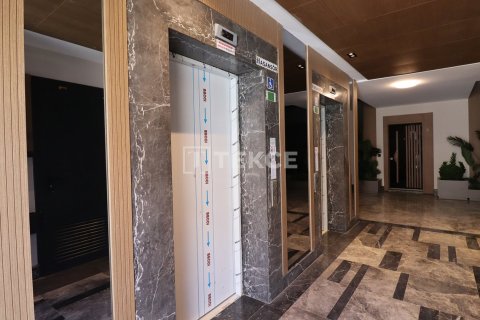 3 bedrooms Apartment in Luong Hoa, Vietnam No. 85273 5