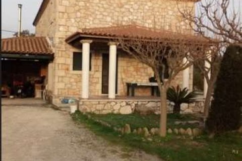 4 bedrooms House in Zakynthos, Greece No. 69544 10