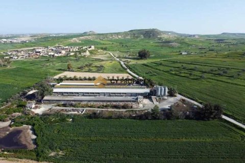 Commercial property in Larnaca, Cyprus No. 41954 2