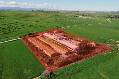 Commercial property in Larnaca, Cyprus No. 41954 1