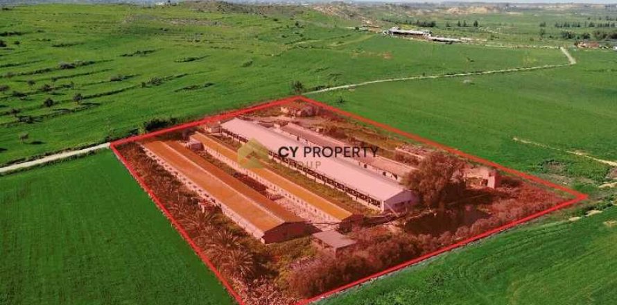 Commercial property in Larnaca, Cyprus No. 41954