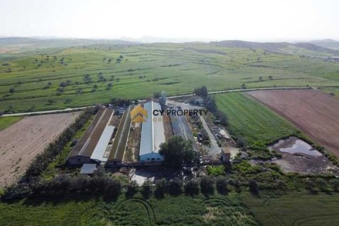 Commercial property in Larnaca, Cyprus No. 41954 3