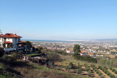 Вилла с 4 спальнями в Терми, Греция №60066 10