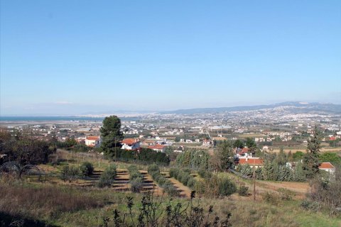 Вилла с 4 спальнями в Терми, Греция №60066 9