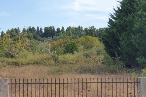 6800m² Land in Chalkidiki, Greece No. 56471 3