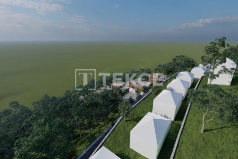 4 bedrooms Villa in Chau Lang, Vietnam No. 14657 20