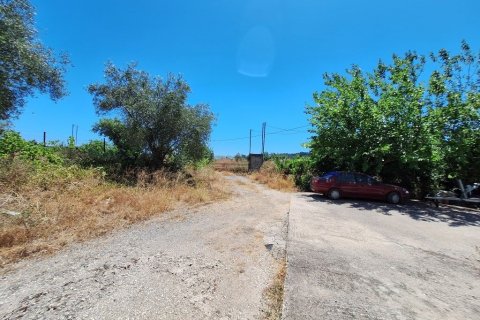 530m² Commercial property en Corfu, Greece No. 54420 27