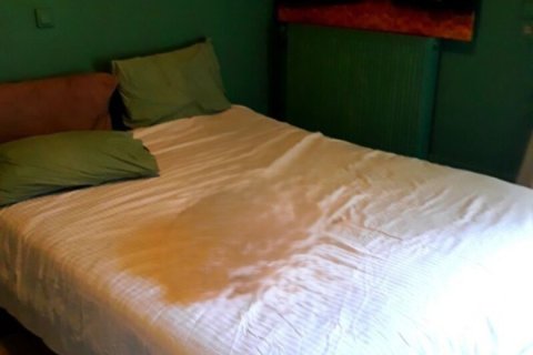 530m² Commercial property en Corfu, Greece No. 54420 4