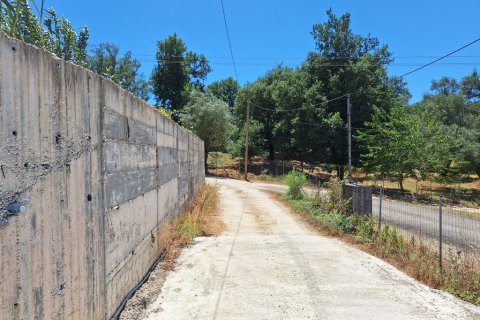 530m² Commercial property en Corfu, Greece No. 54420 29