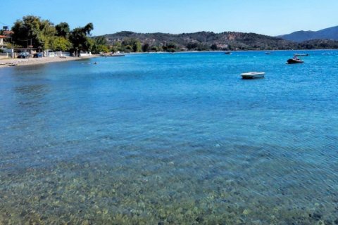 Земельный участок 64000м² в Эвбея, Греция №57533 1