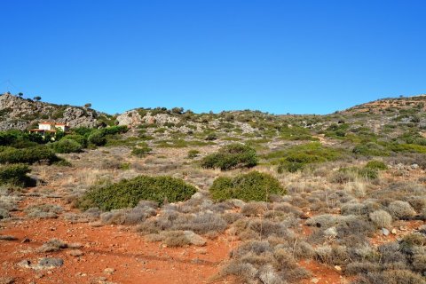13722m² Land à Lasithi, Greece No. 58030 4