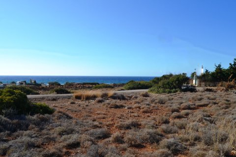 13722m² Land à Lasithi, Greece No. 58030 2