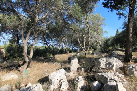 4300m² Land in Corfu, Greece No. 57807 7