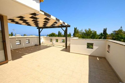 3 bedrooms Villa in Ayia Napa, Cyprus No. 101372 14