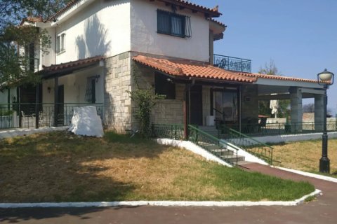 9 bedrooms Villa in Phthiotis, Greece No. 124172 2