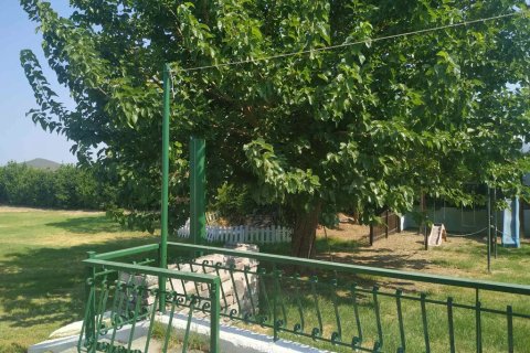 9 bedrooms Villa in Phthiotis, Greece No. 124172 12