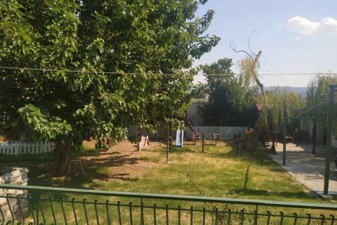 9 bedrooms Villa in Phthiotis, Greece No. 124172 10