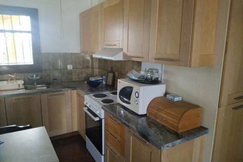 9 bedrooms Villa in Phthiotis, Greece No. 124172 21