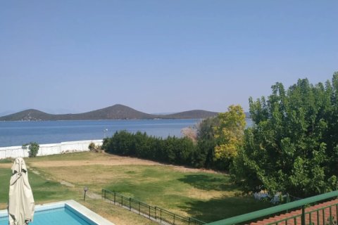 9 bedrooms Villa in Phthiotis, Greece No. 124172 3