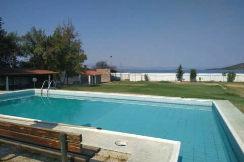 9 bedrooms Villa in Phthiotis, Greece No. 124172 6
