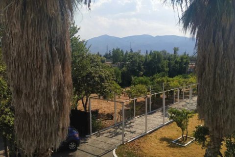 9 bedrooms Villa in Phthiotis, Greece No. 124172 9