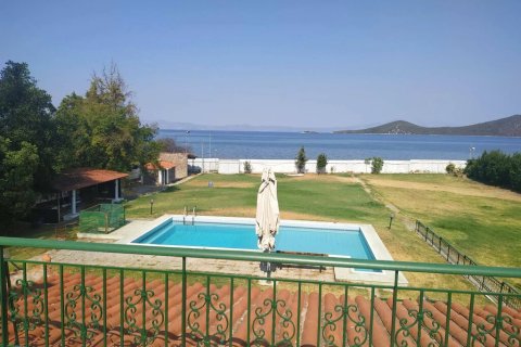9 bedrooms Villa in Phthiotis, Greece No. 124172 19