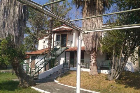 9 bedrooms Villa in Phthiotis, Greece No. 124172 22