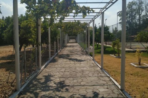 9 bedrooms Villa in Phthiotis, Greece No. 124172 16