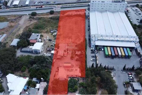 Commercial property à Limassol, Cyprus No. 104440 1