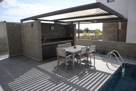 3 bedrooms Villa in Geroskípou, Cyprus No. 101799 12