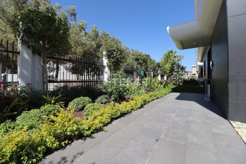 Вилла с 6 спальнями в Phu Tan, Вьетнам №16827 2