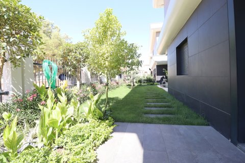 Вилла с 6 спальнями в Phu Tan, Вьетнам №16827 3