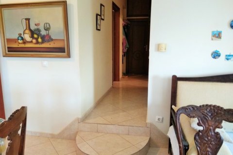 7 bedrooms House in Polygyros, Greece No. 109637 5